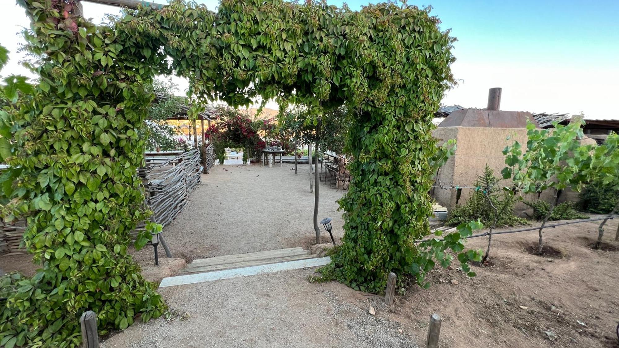Santerra, Valle De Guadalupe Exterior foto
