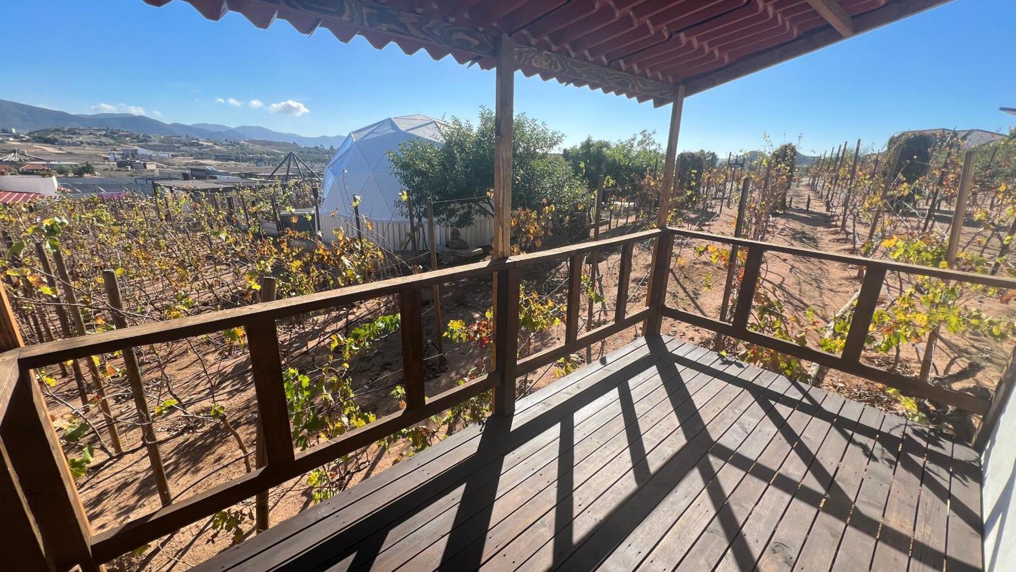 Santerra, Valle De Guadalupe Exterior foto