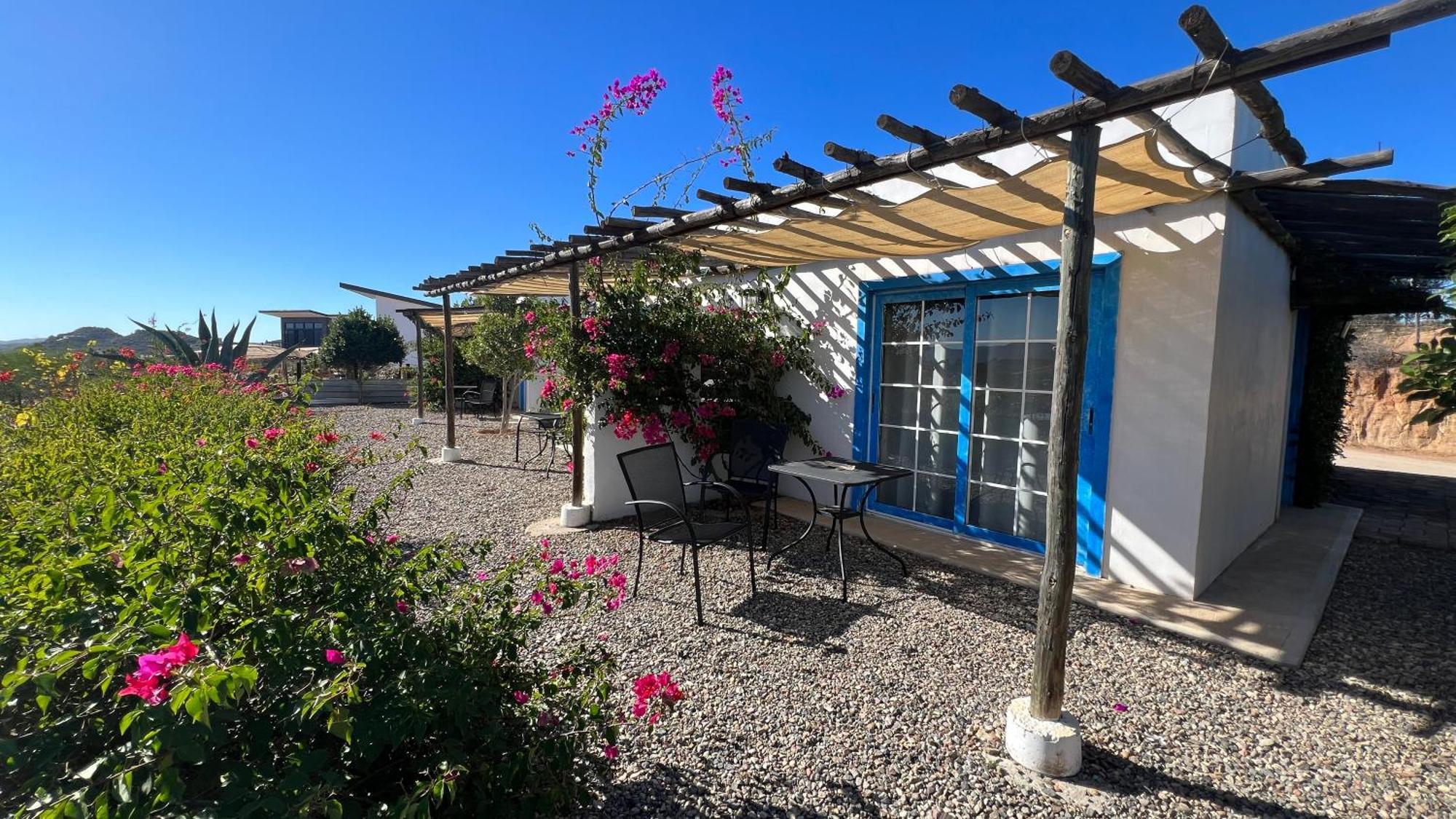 Santerra, Valle De Guadalupe Exterior foto