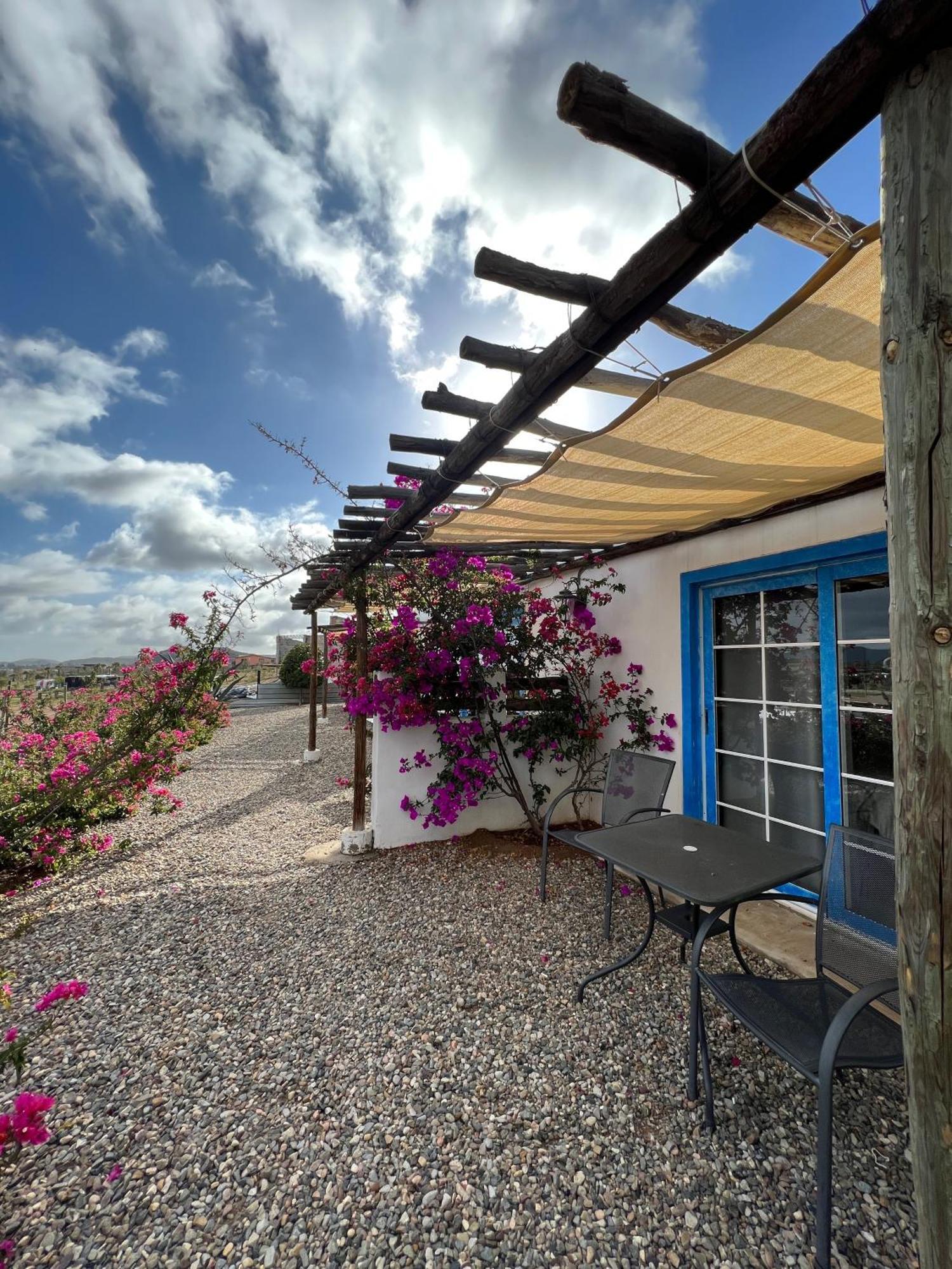 Santerra, Valle De Guadalupe Exterior foto