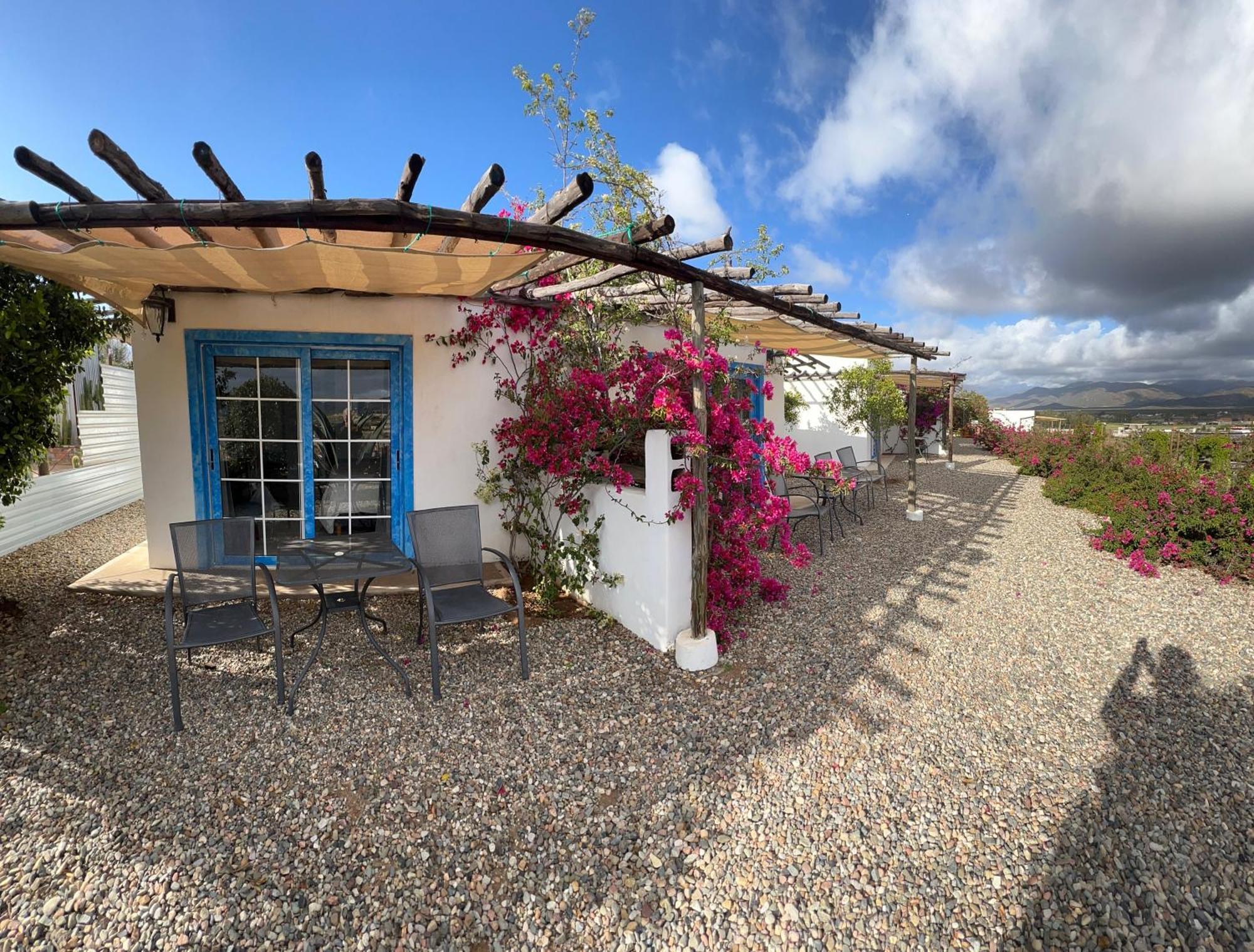 Santerra, Valle De Guadalupe Exterior foto