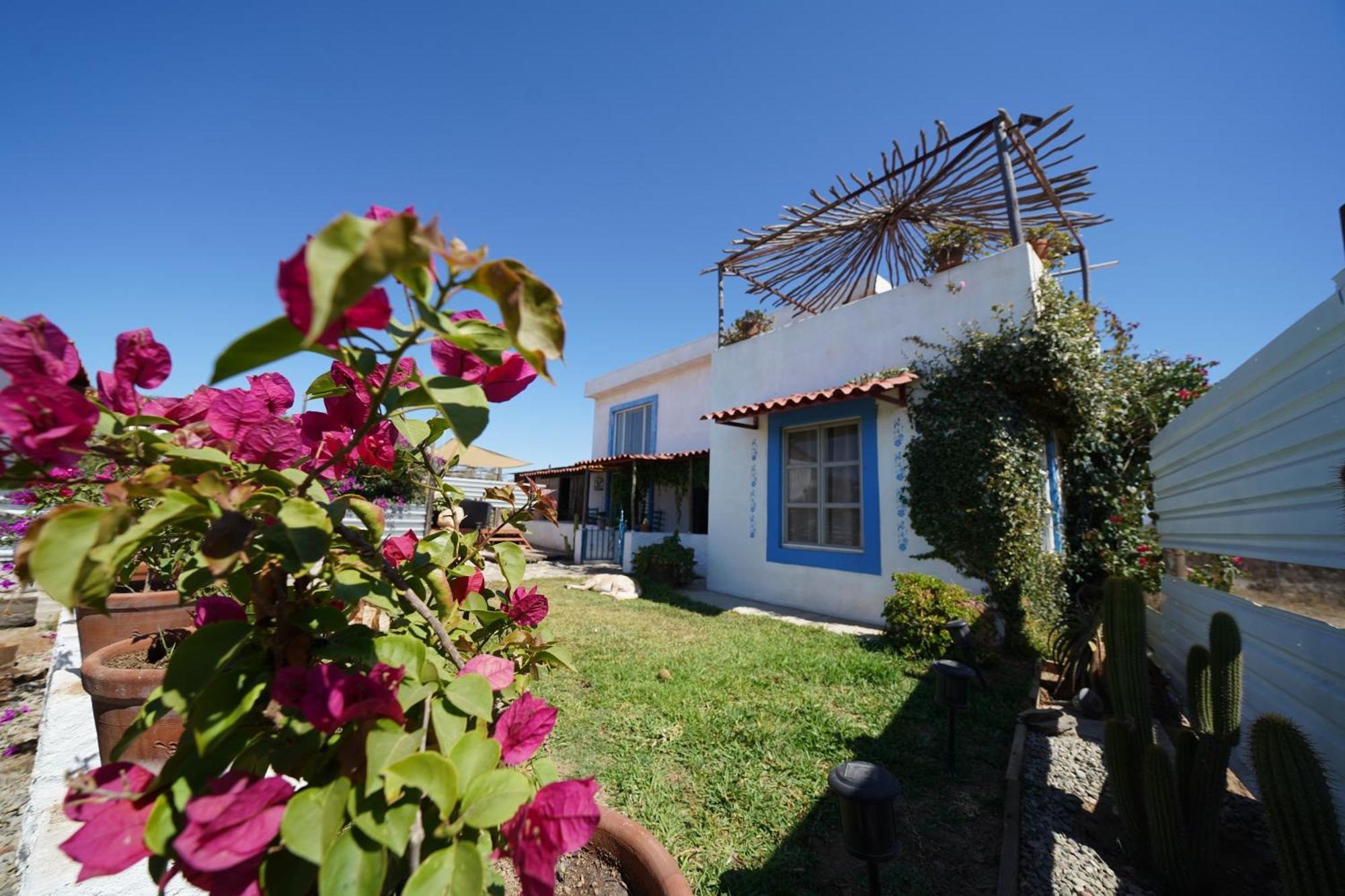 Santerra, Valle De Guadalupe Exterior foto