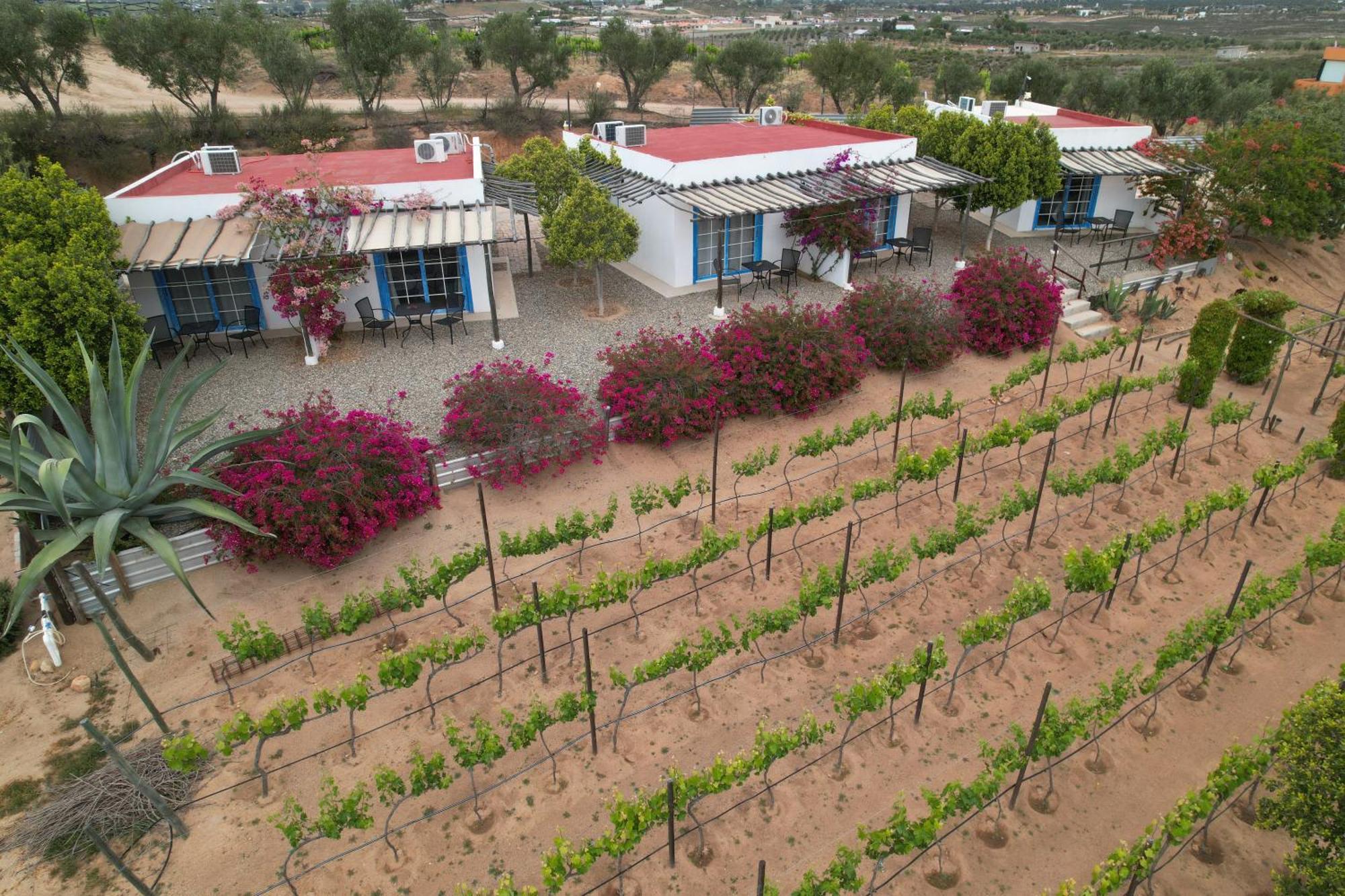 Santerra, Valle De Guadalupe Exterior foto